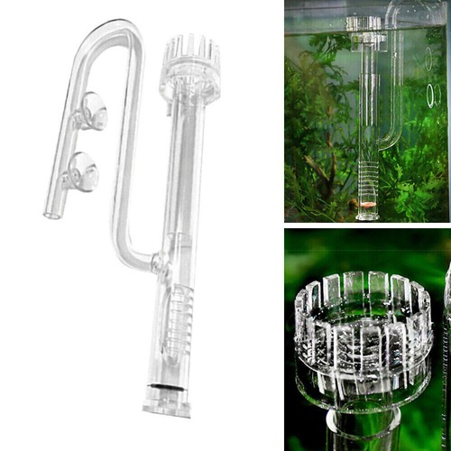 Skimmer superficie acqua