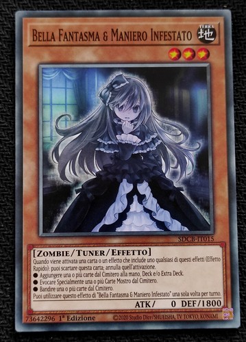 Bella fantasma maniero - fantasma,