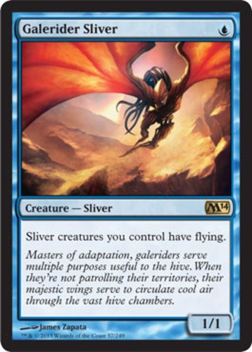 Galerider sliver foil - galerider, magic