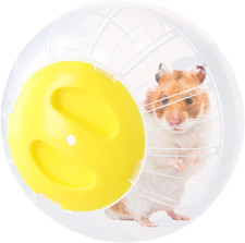 Palla per Criceto, Palla Da