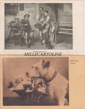 CANI e GATTI :  2 cartoline 1916-20