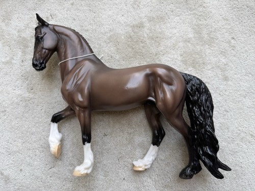 Splendido cavallo sportivo