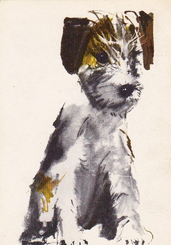 Cartolina fox terrier - ***,