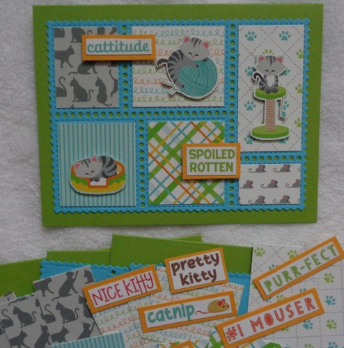 Stampin kit carte gatto - up!,