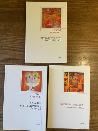 Libri paolo febbraro - 3, libri-paolo