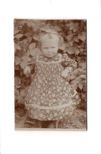 Foto cdv simpatica - cdv,