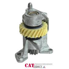 Gruppo Ingranaggio Pignone