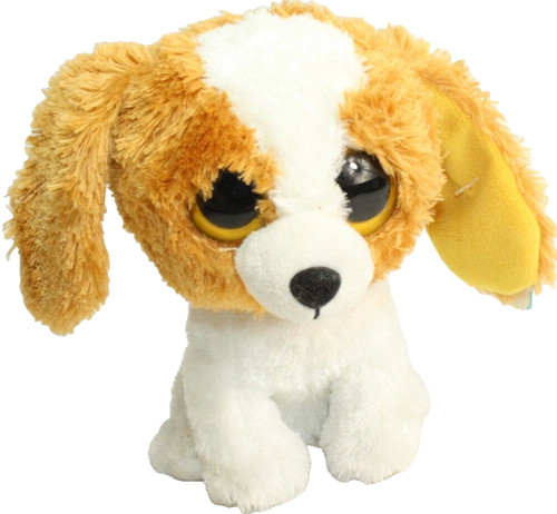 Cane dog occhi - ty, grandi