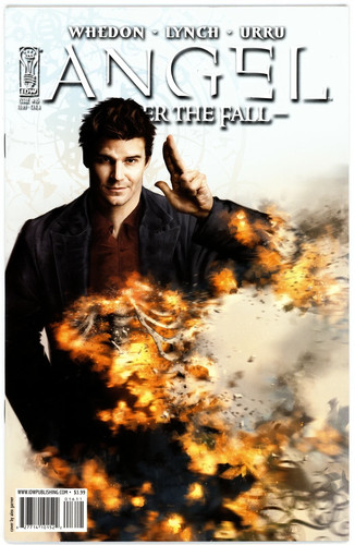 Angel after the fall - after,