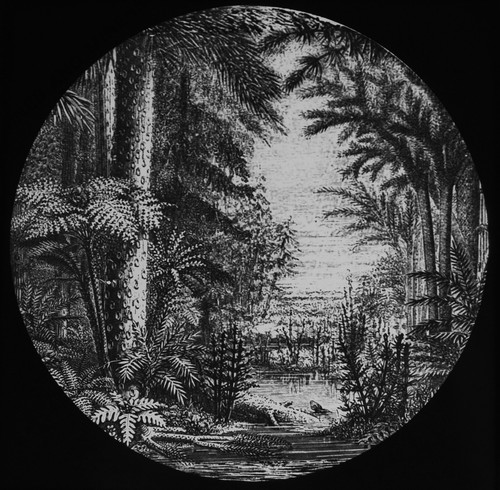Ideal landscape for coal - ideal, to