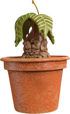 Decorazione Natalizia 2025