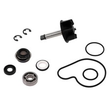 Kit revisione pompa acqua