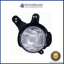 FENDINEBBIA ANTERIORE SINISTRO