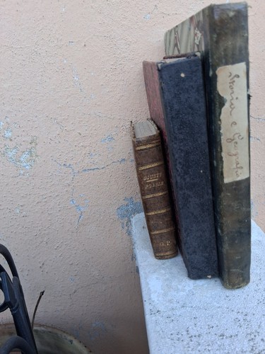 Libri antichi fine 800 - libri,