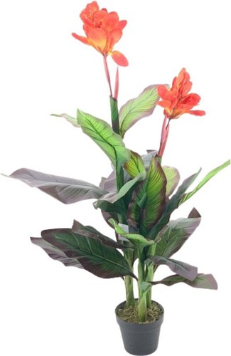 Pianta artificiale canna - pianta, lily