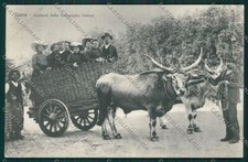 Siena City Costumes Ox Car
