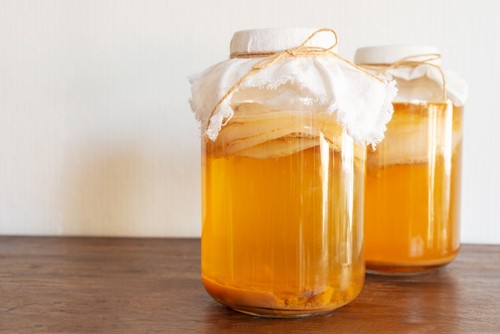 Bio kombucha starter - bio, live