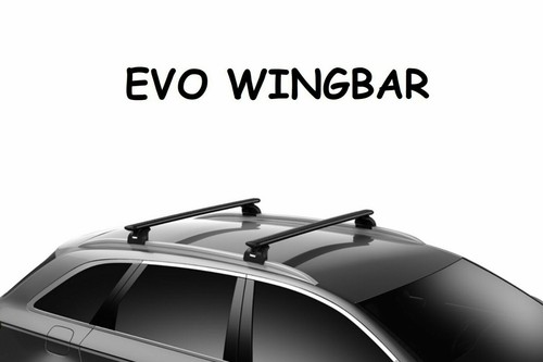 Barre portatutto thule evo - barre,
