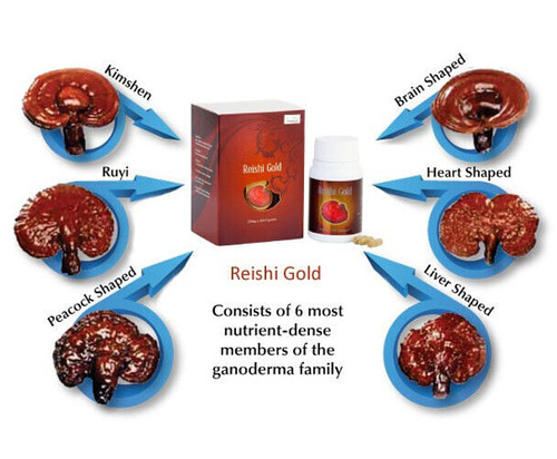 Reishi gold 100 estratto - reishi,