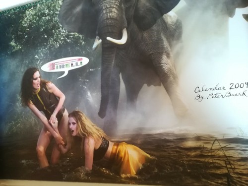 Calendario pirelli 2009 - pirelli,
