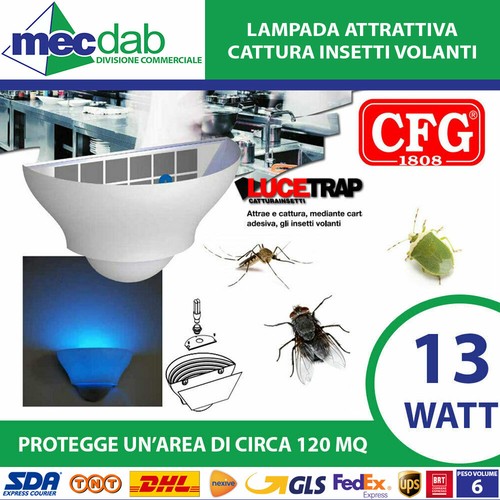 Esca attrattiva per - attrattiva, insetti