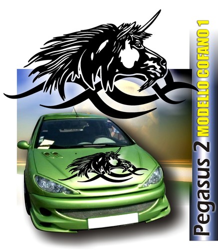 Adesivi auto tuning adesivi
