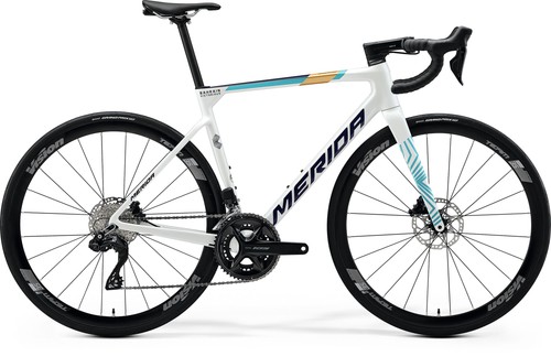 Bici corsa merida scultura - da,