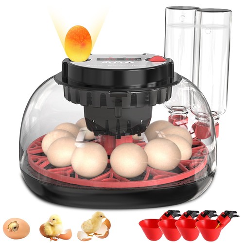 Incubatrice uova - 12,