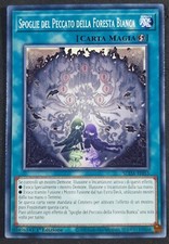 SPOGLIE DEL PECCATO DELLA