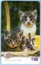 10 Dollari. Due Gattini Carini (Gatti) 'ESEMPIO' Carta Telefonica