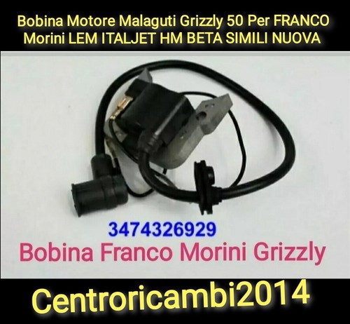 Bobina motore malaguti - motore,