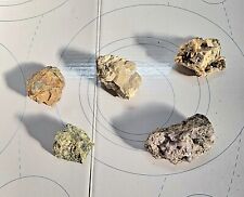 Lotto Di 5 Pietre Minerali