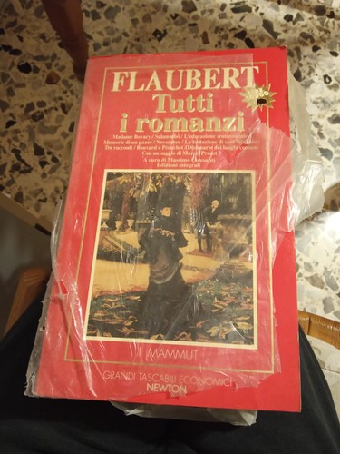 Tutti romanzi flaubert - g.,