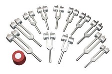 Radical 12 Pezzi Minerale