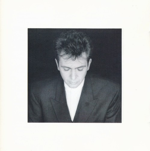 Peter gabriel shaking the - peter,