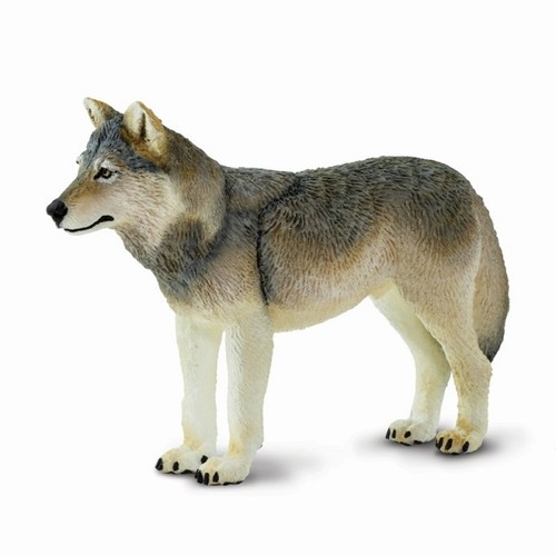 Safari ltd 100509 lupo - safari, grigio