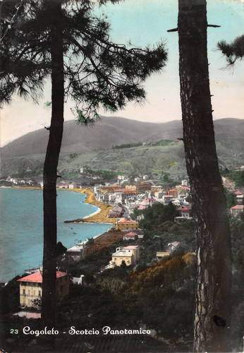 Al11 37c cogoleto - cogoleto, panorama