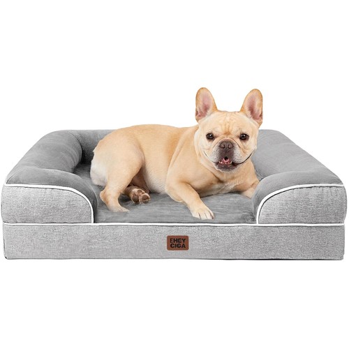 Cuccia cane divano - cuccia, cane,