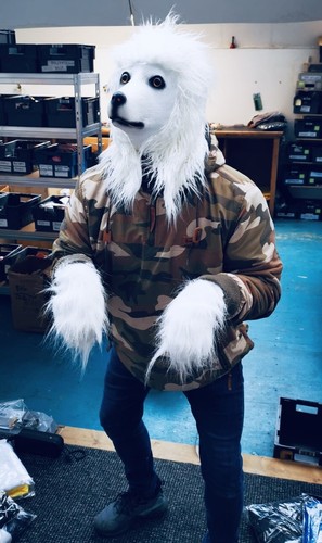 Bianco fursuit barboncino - bianco,
