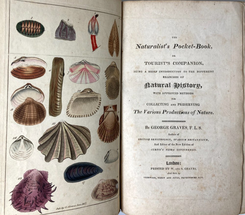 1817 naturalist - 1817, naturalist’s