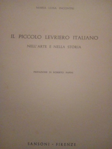 Maria luisa incontri - luisa,