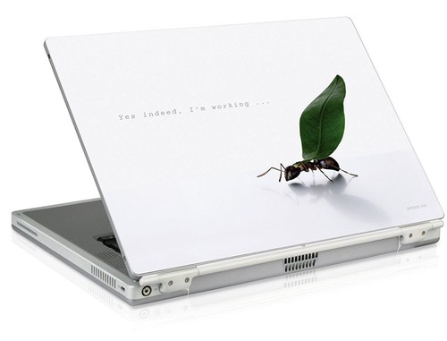 Speedlink notebook skin - speedlink,