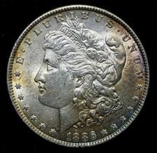 Moneta da 1 dollaro d'argento