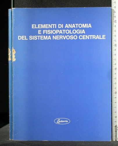 Elementi anatomia e - di,