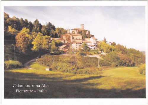Calamandrana alta asti - calamandrana,