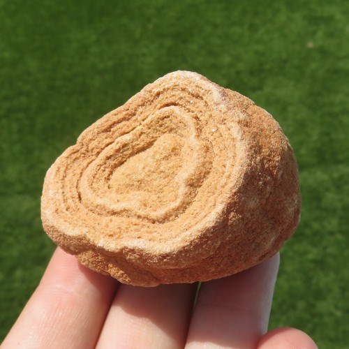 Minerali rara stromatolite - minerali,