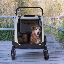 Bingopaw Passeggino per Animali Domestici Passeggino per Cani XXL Trolley per Cani Pieghevole