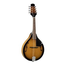 MANDOLINO BLUEGRASS CON TOP IN
