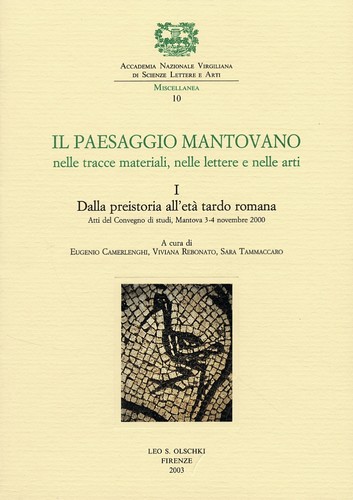 Paesaggio mantovano nelle - il,