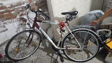 Bicicletta Carnielli Da uomo